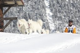 Kandersteg 2013